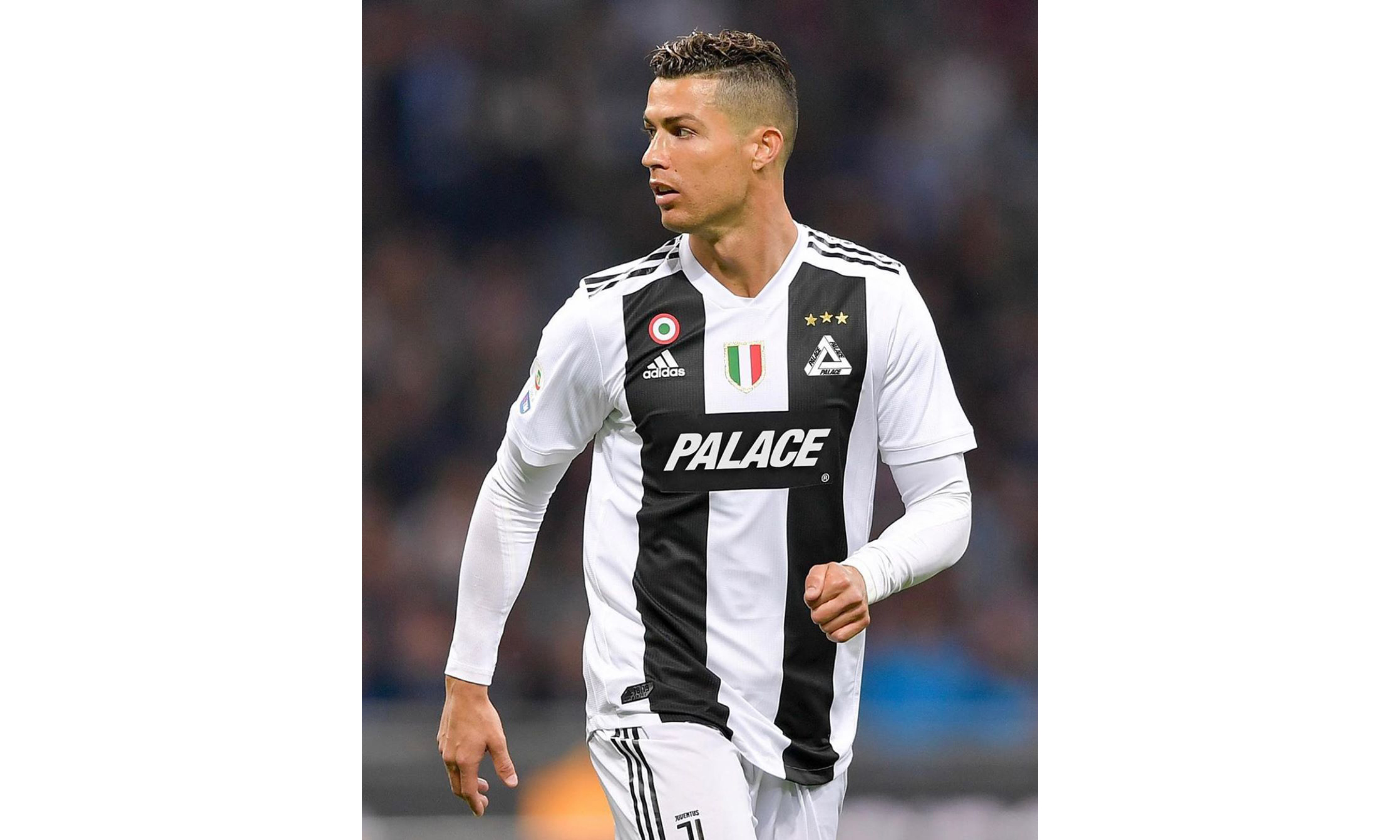 老鹰交锋时 老鹰交锋时